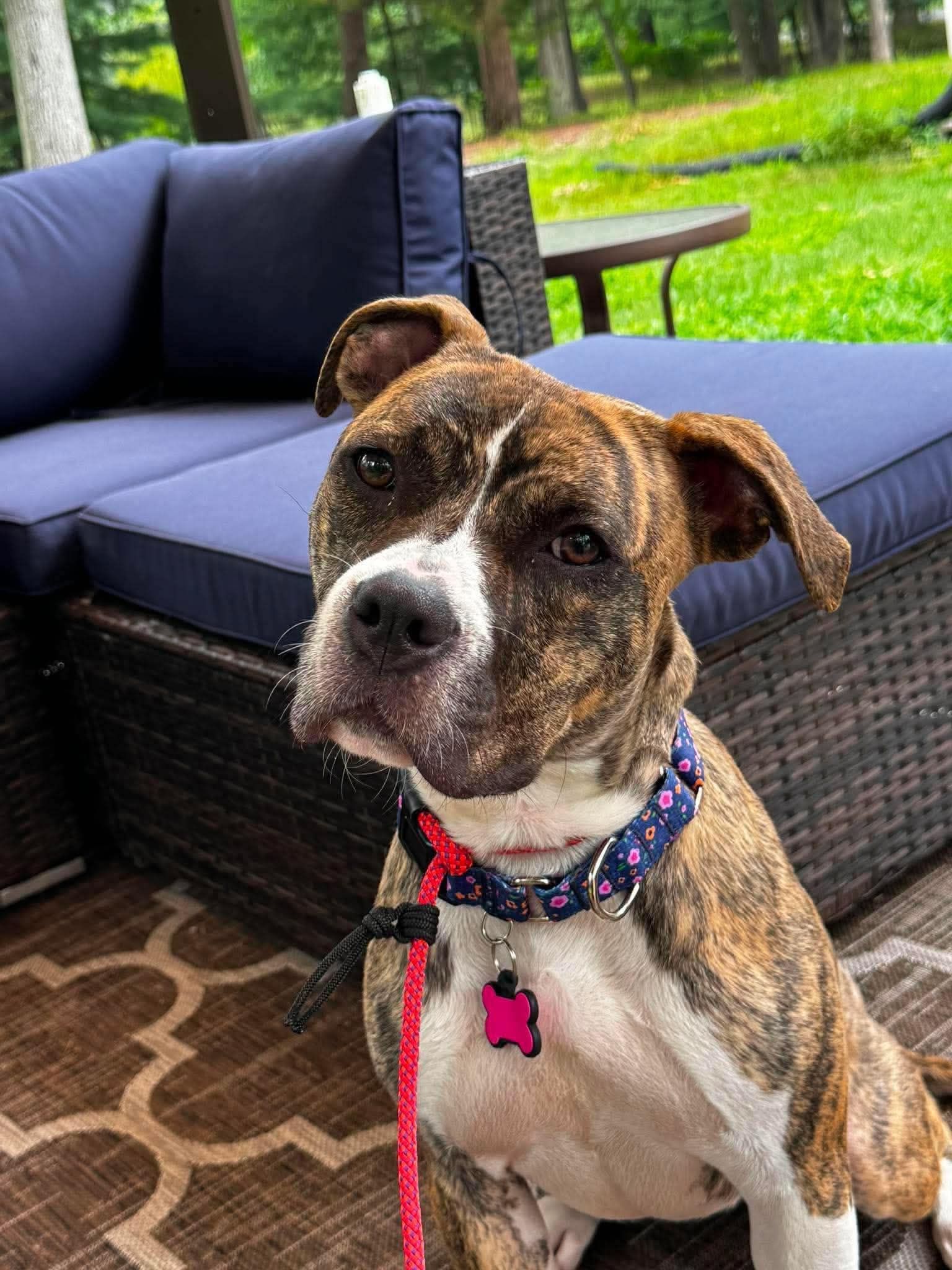 Photo of Betty