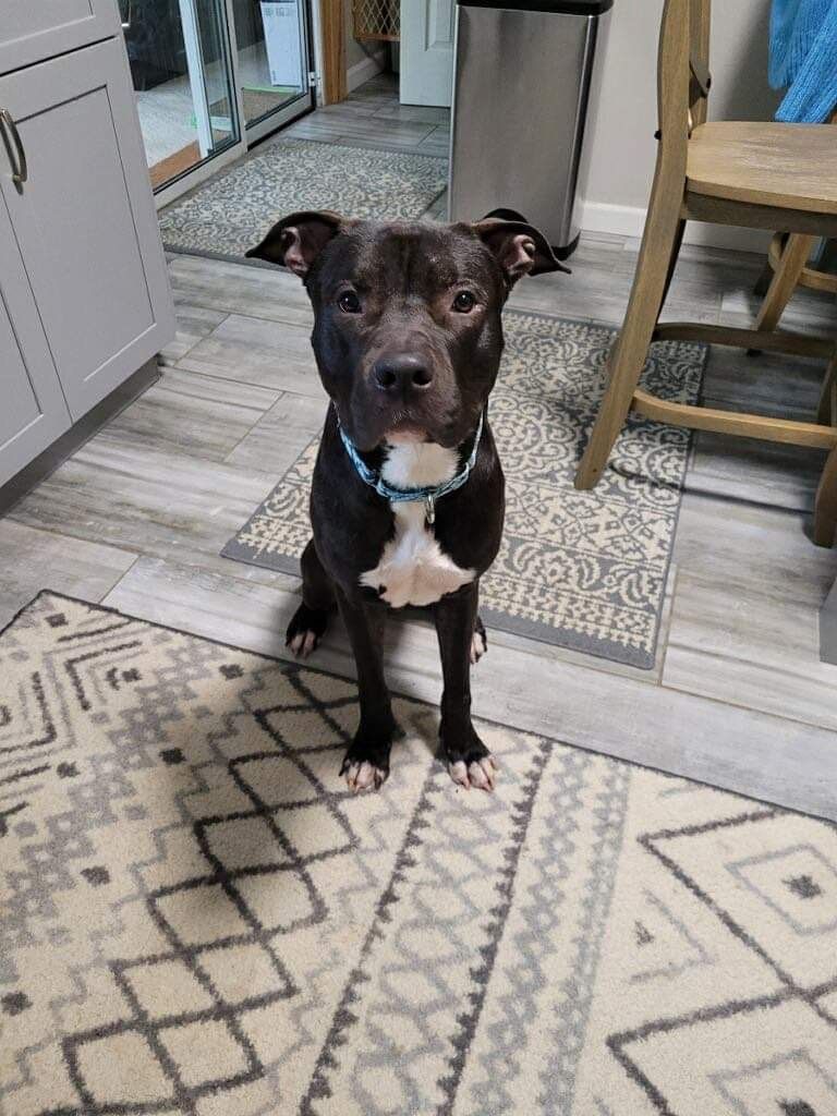 Photo of Dempsey