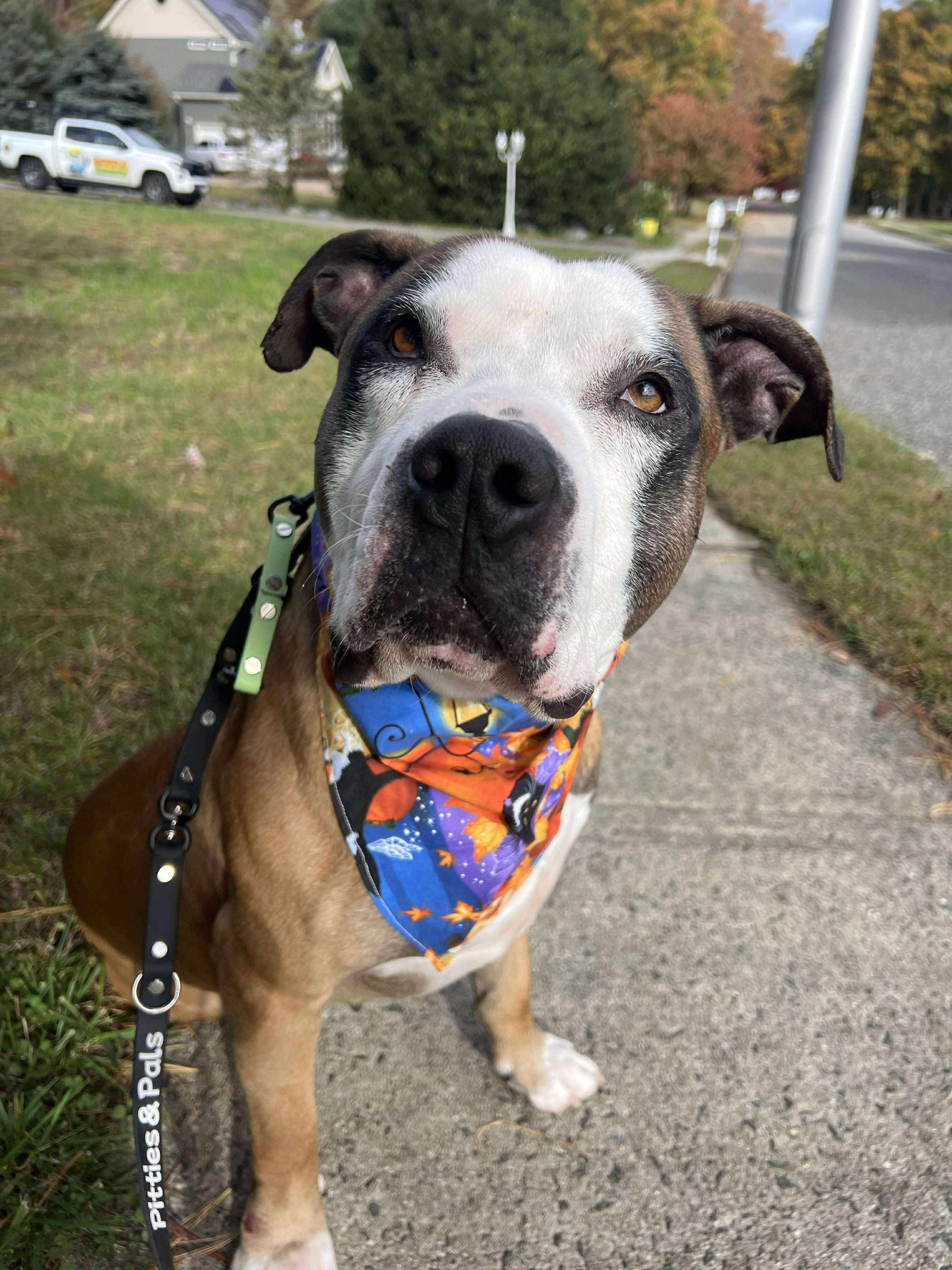 Photo of Major